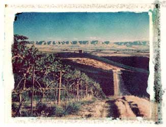 Washington Vineyards portfolio